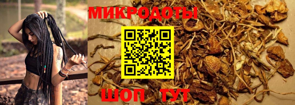 Псилоцибиновые грибы мухоморы Волгоград
