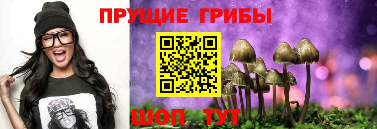 Галлюциногенные грибы Psilocybine cubensis  Вход с VPN  Волгоград 
